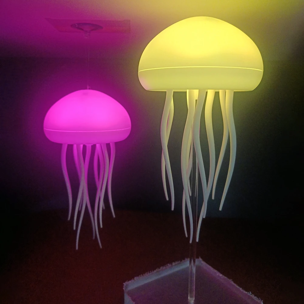 kf-Sc2db16ec5a594b7c81c07b8390928202L