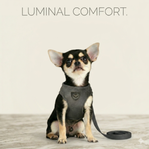 Lumosie "Cloud-Walk" Air Mesh Harness