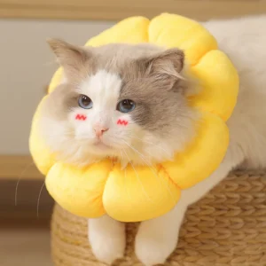 Lumosie SunBloom™ Recovery Collar for Cats & Small Dogs