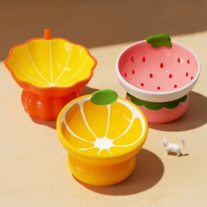 FruityPaws Hand-Painted Elevated Cat Bowl
