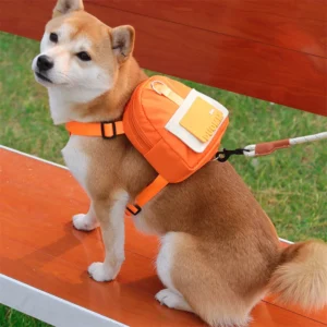 TrailPack Personalized Dog Harness