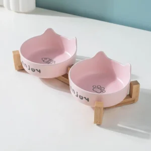 CozyPaws Elevated Ceramic Pet Bowl