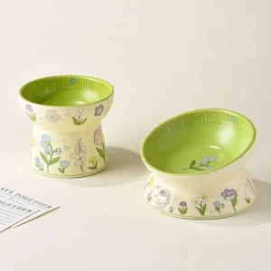BunnyBloom Elevated Ceramic Pet Bowl