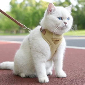 UrbanWalk Harness & Leash Set