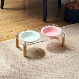 ClearPaws Elevated Ceramic Bowl