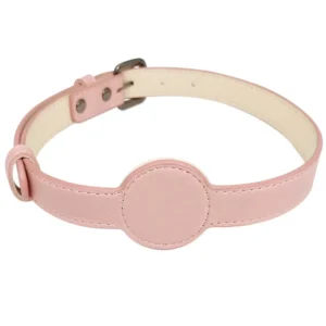 PawHide AirTag Leather Collar