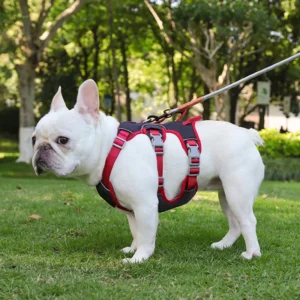GripGuard No-Pull Dog Harness