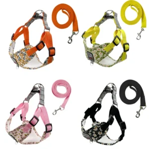 BloomFit X-Harness Set