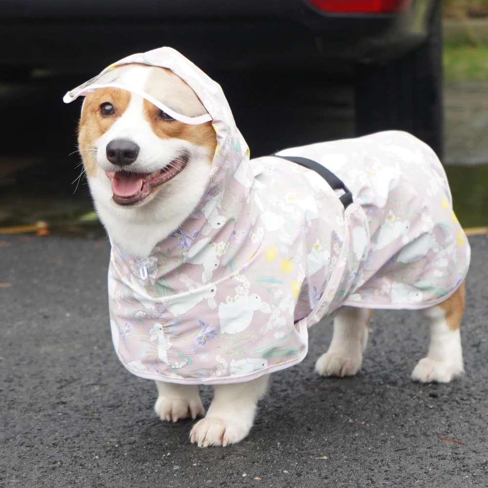 kf-S82c2306edb634edcaea0ac7d12c58c7dj