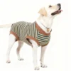 Lumosie ComfortGuard™ Dog Recovery Suit