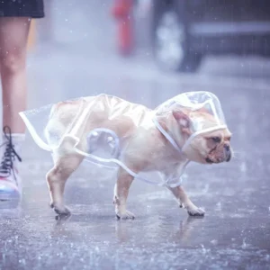 ClearShield Waterproof Dog Raincoat