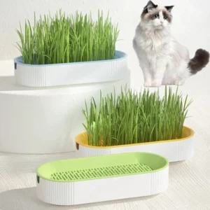 Lumosie GreenBite™ Hydroponic Cat Grass Feeder Bowl