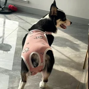CozyFit Cotton Pet Shorts