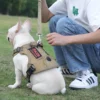 GuardGrip™ No-Pull Dog Harness