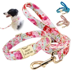PawPrint Personalized Dog Collar & Leash Set