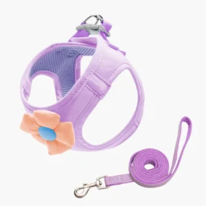 AdventureFit Pet Harness & Leash Set