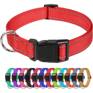 Petite Prestige Velvet Choker Collar