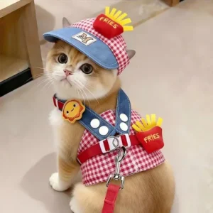 SunnyPaws Hat Harness & Leash Set