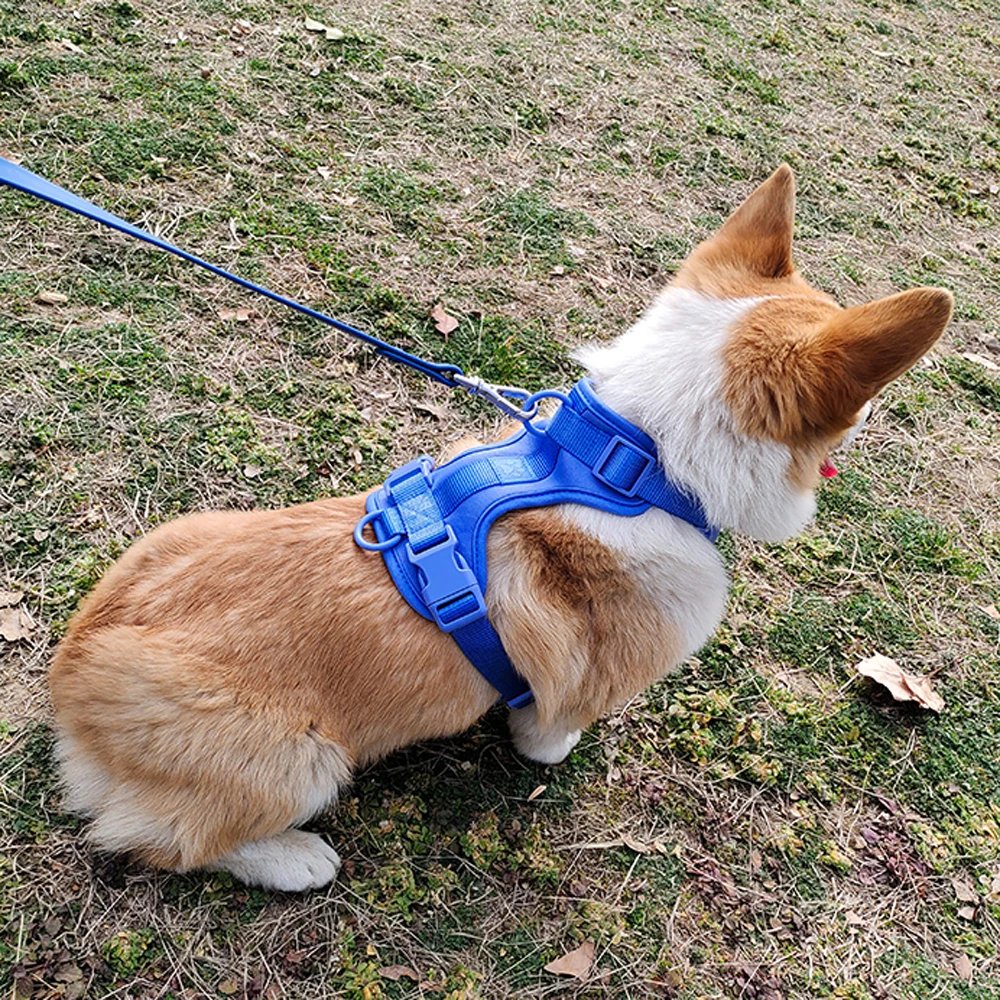 AirStride All-Day Comfort Harness - Image 2
