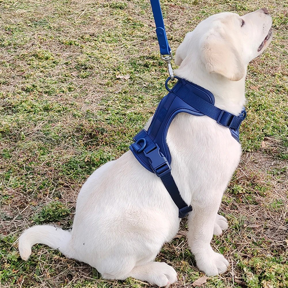 AirStride All-Day Comfort Harness - Image 5