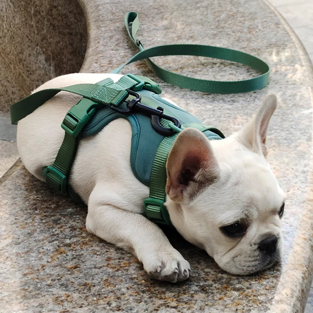 AirStride All-Day Comfort Harness - Image 11