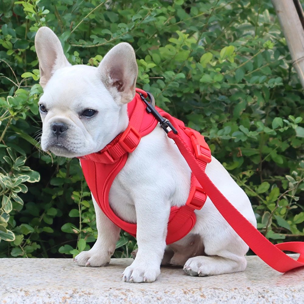 AirStride All-Day Comfort Harness - Image 12