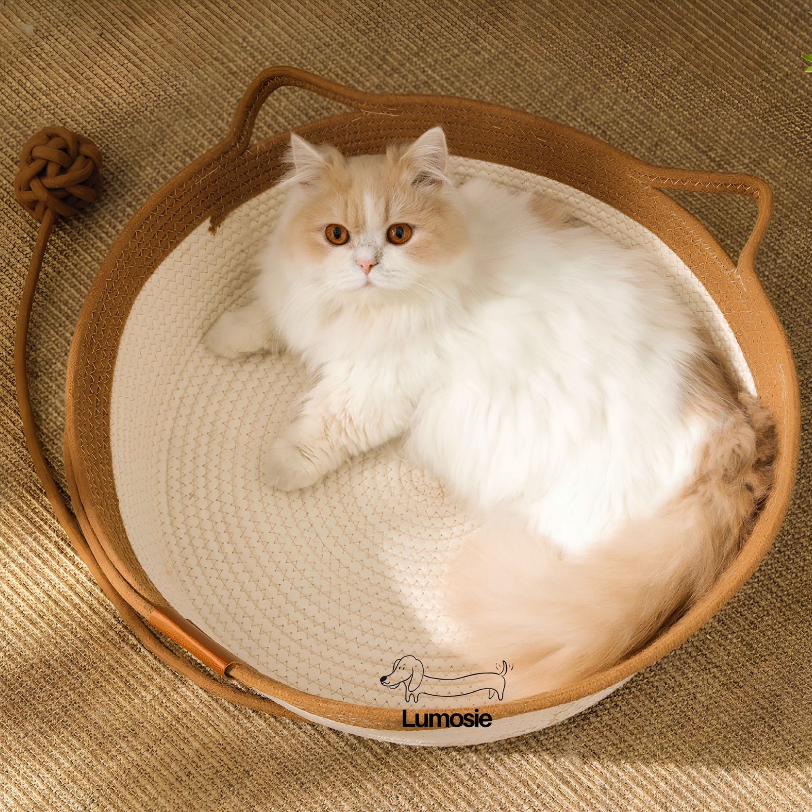 Cats Scratch Pad Bed - Image 2