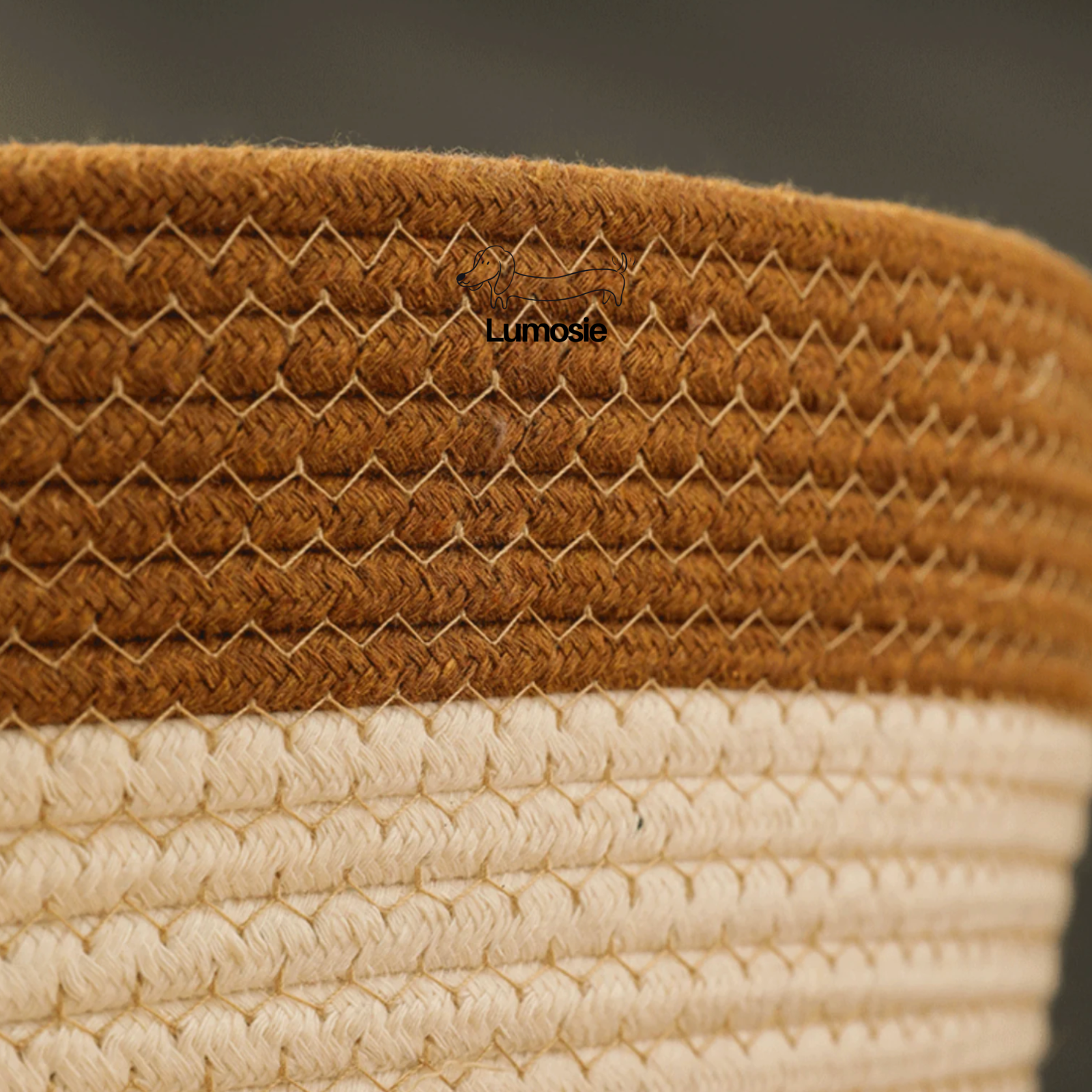 Cats Scratch Pad Bed - Image 6