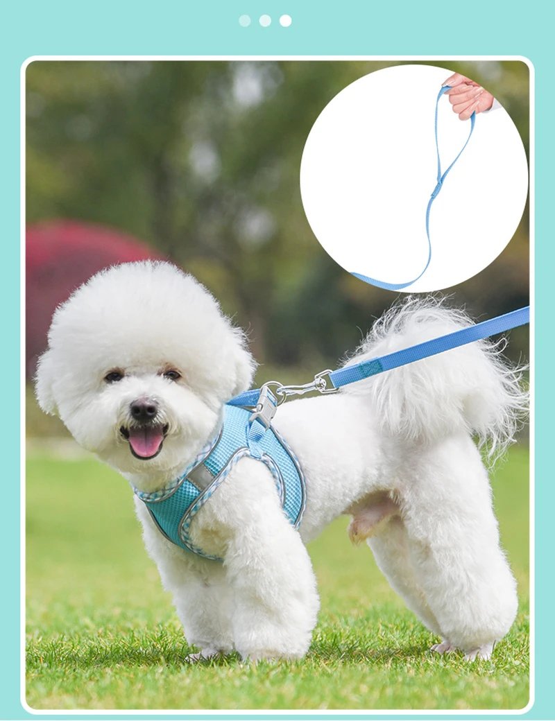 PastelPlaid Mesh Step-In Harness & Leash Set - Image 4