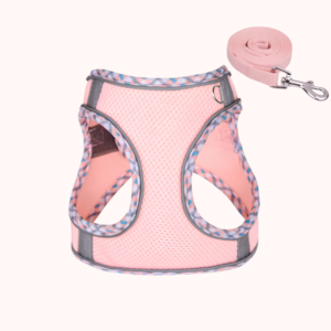 PastelPlaid Mesh Step-In Harness & Leash Set