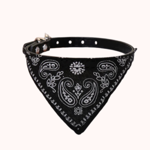 Classic Paisley Bandana