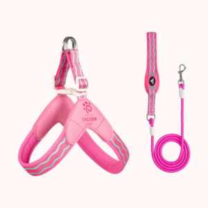WaveStride Step-In Harness & Leash Set