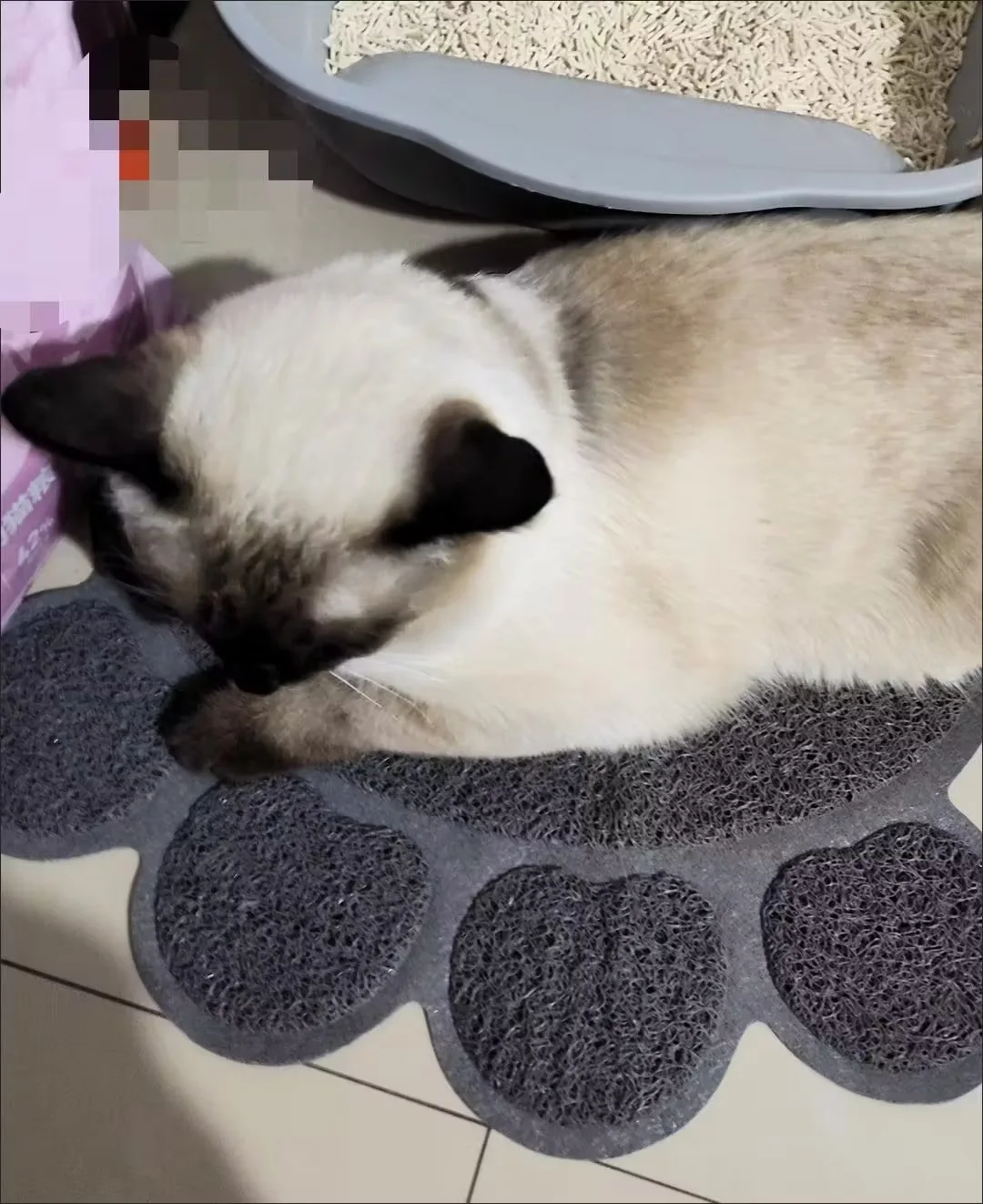 Dual-Layer Cat Litter Mat - Image 2