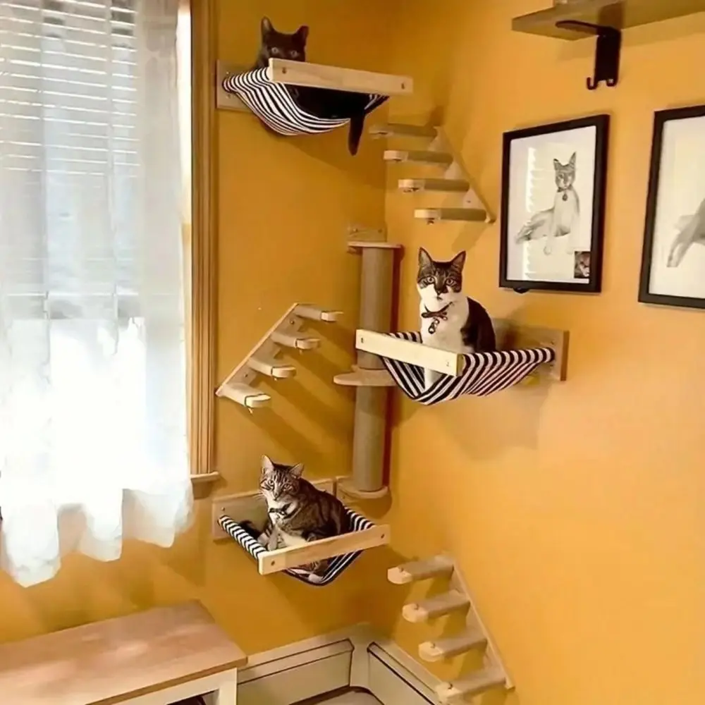 Solid Wood Cat Climbing Shelf - Image 7