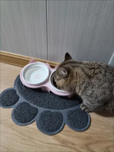 Dual-Layer Cat Litter Mat