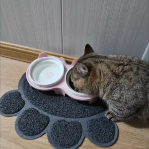 Dual-Layer Cat Litter Mat