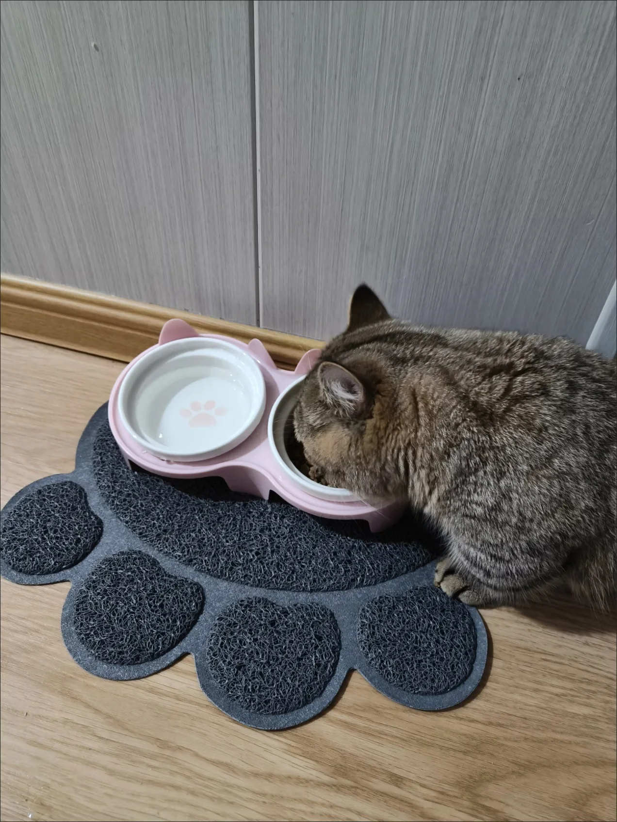 Dual-Layer Cat Litter Mat