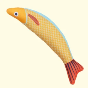 Saury Fish