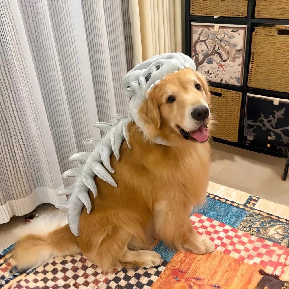 Glow-in-the-Dark Dinosaur Skeleton Pet Costume - Image 5